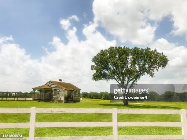 hillsdale farms franklin (tennessee) - franklin tennessee stockfoto's en -beelden