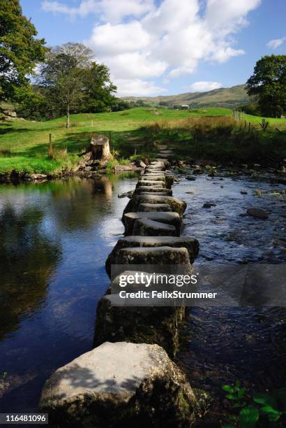 line of stepping stones in the middle of a river - moss stock pictures, royalty-free photos & images