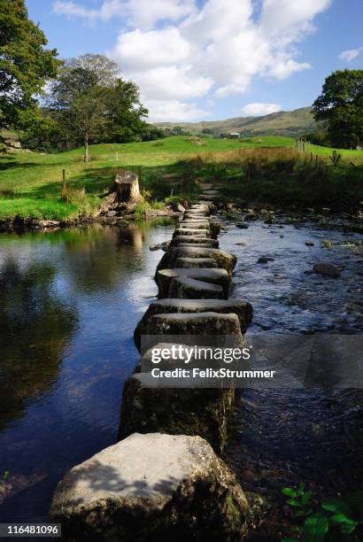 line of stepping stones in the middle of a river - stepping stones stock pictures, royalty-free photos & images