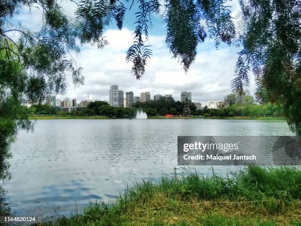 lake in the ibirapuera park (parque do ibirapuera) in são paulo, brazil. - top view of ibirapuera park in sao paulo brazil stock pictures, royalty-free photos & images