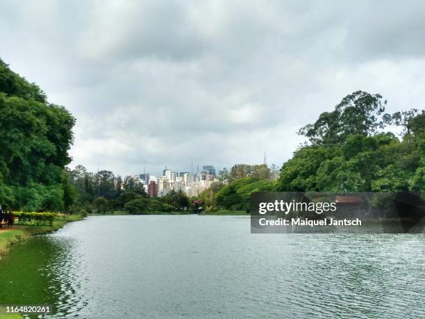 ibirapuera park (parque do ibirapuera) in são paulo, brazil. - top view of ibirapuera park in sao paulo brazil stock pictures, royalty-free photos & images