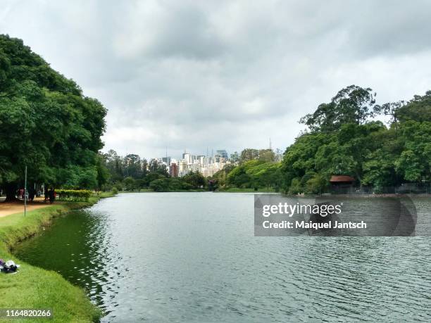 ibirapuera park (parque do ibirapuera) in são paulo, brazil. - top view of ibirapuera park in sao paulo brazil stock pictures, royalty-free photos & images