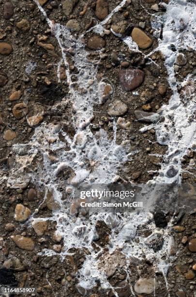 bird droppings on a concrete and pebble footpath - guano stock pictures, royalty-free photos & images