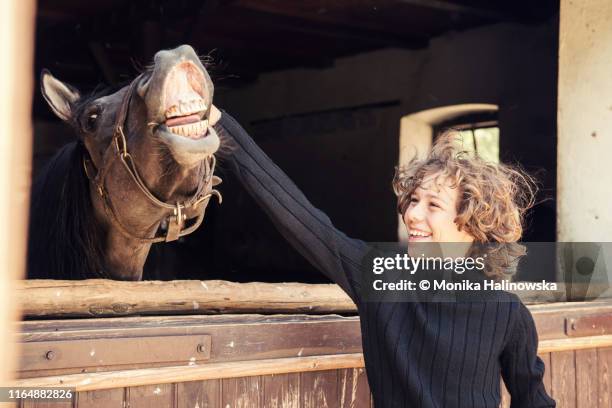 boy with a horse - horse teeth 個照片及圖片檔