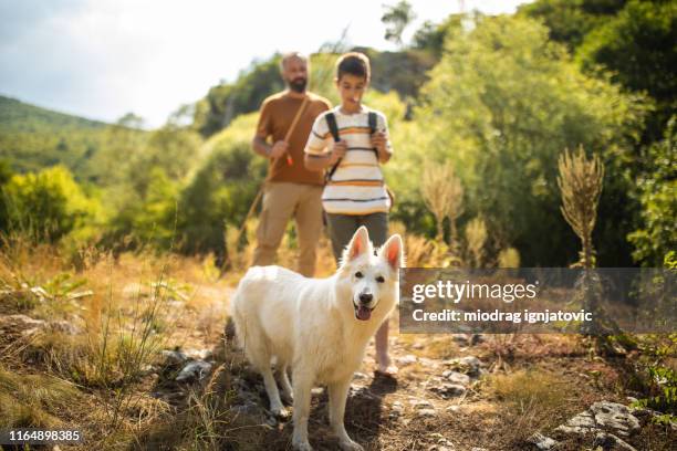 father and son starting hiking adventure with their dog - dog adventure stock pictures, royalty-free photos & images