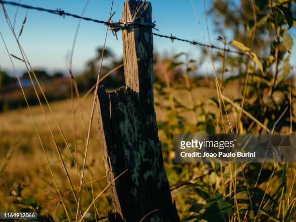 farm fence with barbed wire on a field - rústico 個照片及圖片檔