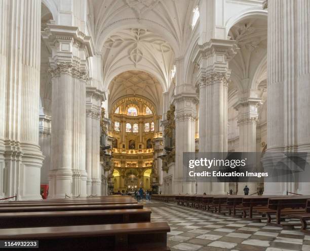 The nave of the cathedral Full Ken Welsh, Santa Iglesia Cathedral Metropolitana de la Encarnacion, or Metropolitan Cathedral of the Incarnation,...