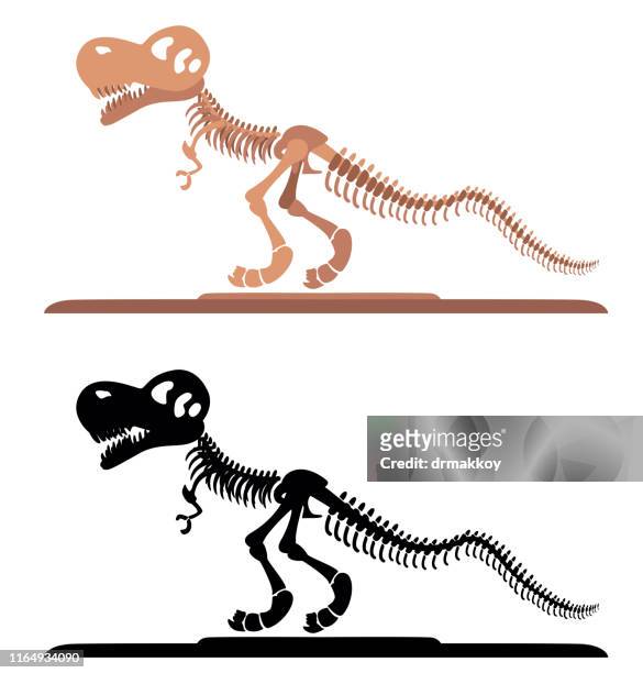 134 Ilustraciones de Dinosaur Bones Museum - Getty Images