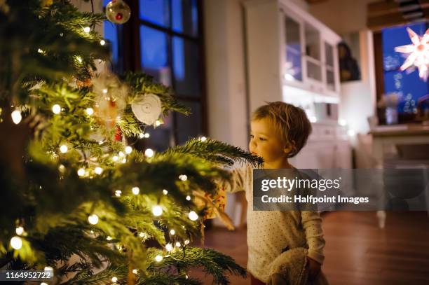 a small toddler girl looking at christmas tree indoors. - christmas lights stockfoto's en -beelden