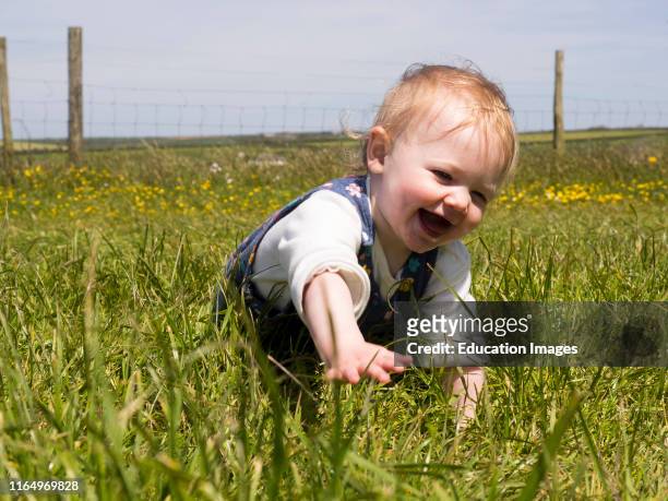 Baby girl crawling through the grass, UK.