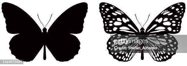 14 0点の蝶イラスト素材 Getty Images 14 0点の蝶イラスト素材 Getty Images
