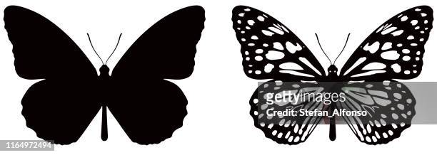 vector illustration of butterfly on white background. there are two versions, black shape and black and white - butterfly tattoos stock illustrations