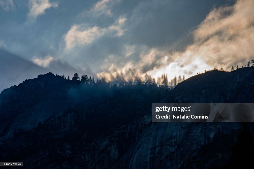 Mountaintop trees at sunset in Yosemite National Park