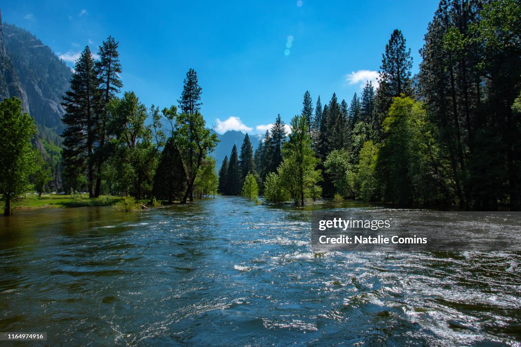 Merced River in Yosemite National Park