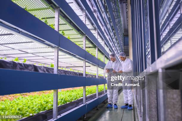 agri-tech specialists examining stacks of indoor crops - environmental control stock pictures, royalty-free photos & images