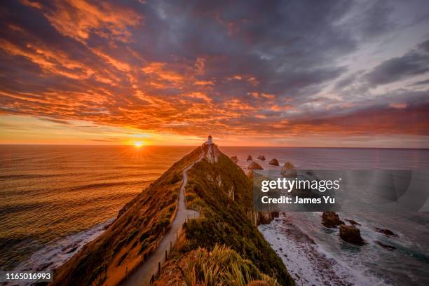 new zealand kaka point nugget view lighthouse - sunrise dawn stock pictures, royalty-free photos & images