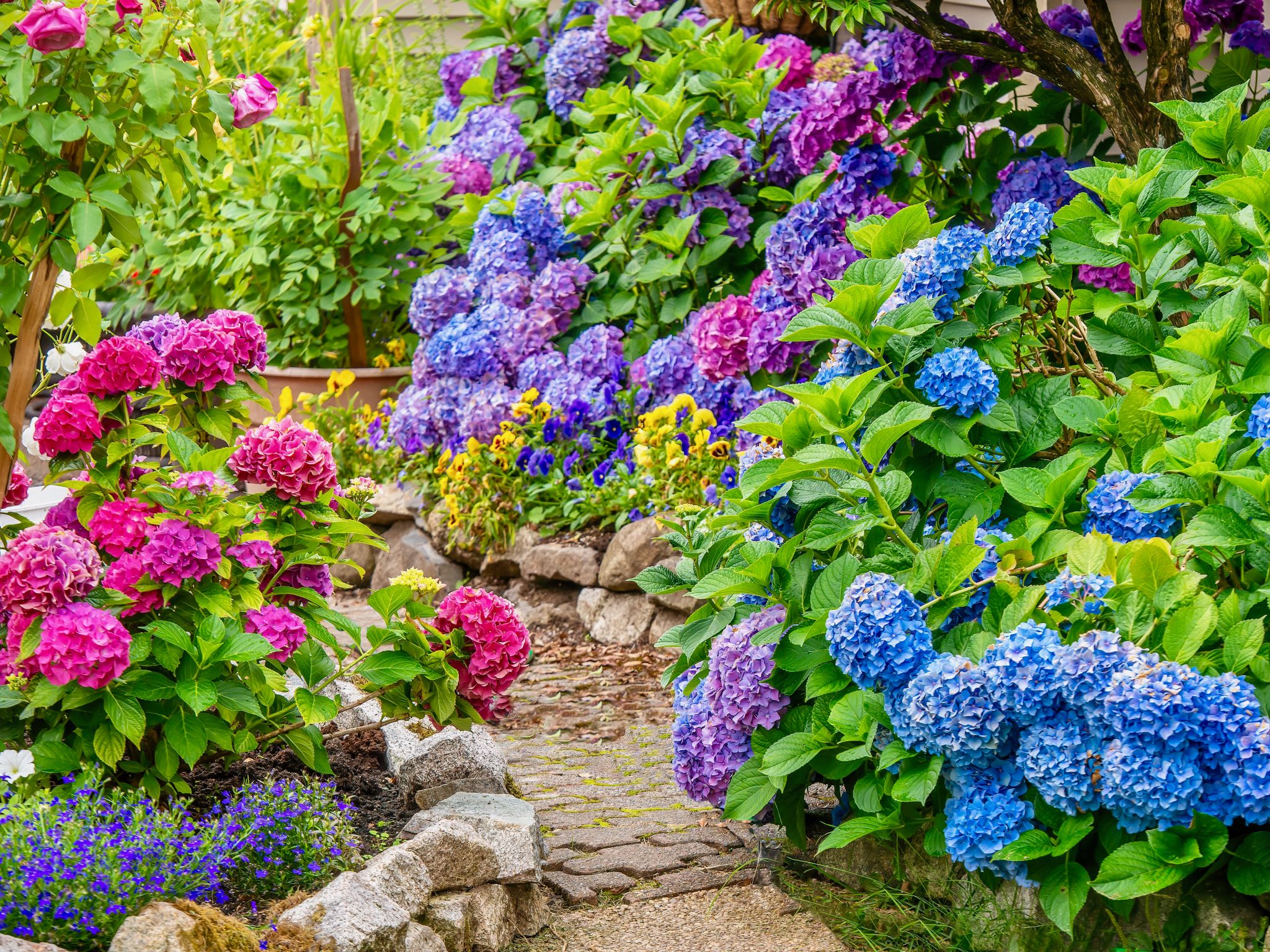 summer gardening