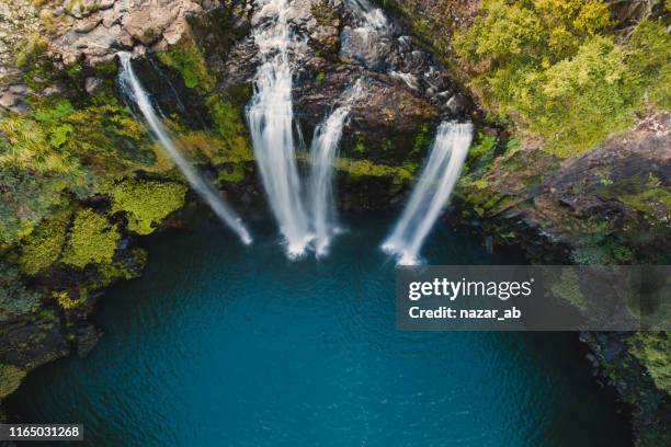 aerial view of whangarei falls. - new zealand aerial stock pictures, royalty-free photos & images