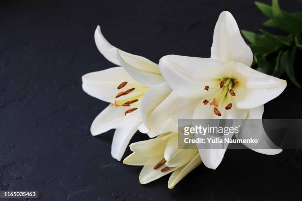 white lily flowers bouquet on black background. condolence card concept. close-up, copyspase. - mourning stock-fotos und bilder
