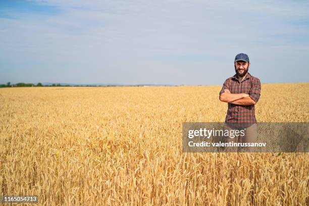 opinião traseira o fazendeiro que está com os braços cruzados no meio do campo - aveia colheita - fotografias e filmes do acervo