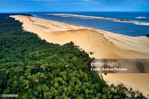dune of pilat, arcachon, nouvelle-aquitaine, france - atlantic ocean stock pictures, royalty-free photos & images