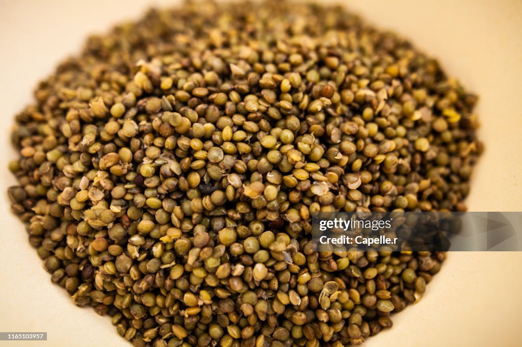 Cuisine - Lentilles du Puy