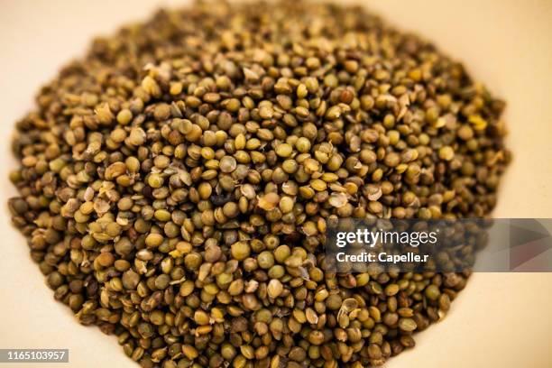 cuisine - lentilles du puy - green lentil stock pictures, royalty-free photos & images