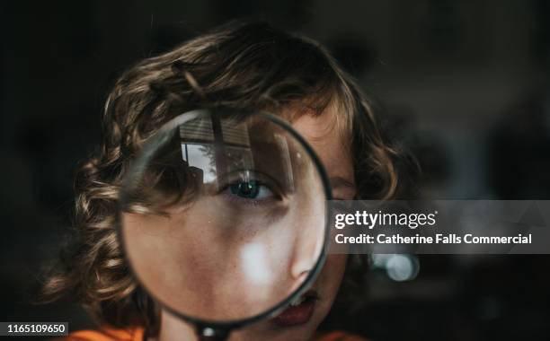 magnifying glass - looking through an object stock pictures, royalty-free photos & images
