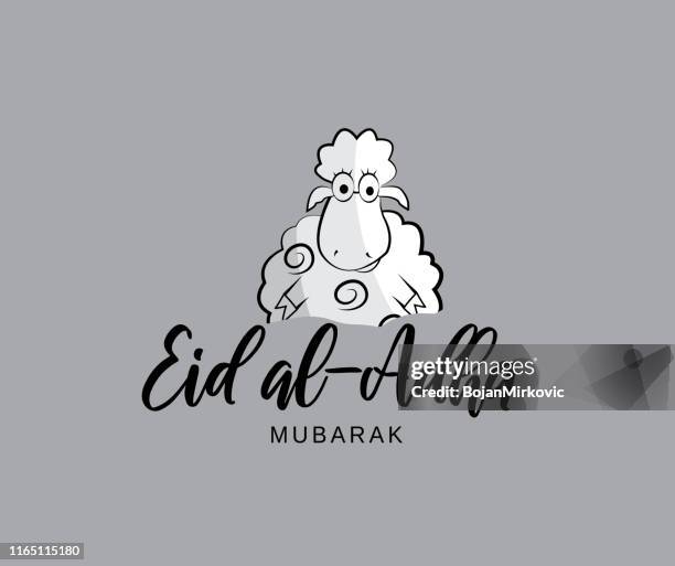 illustrations, cliparts, dessins animés et icônes de carte de mubarak d'aïd al adha avec les moutons dessinés à la main mignons. vecteur - eid al adha