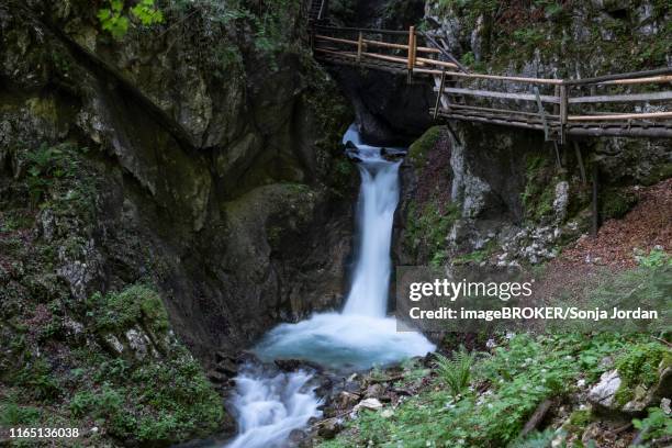 wooden footbridge over waterfall in the dr. vogelgesang gorge at trattenbach, spital am pyhrn, upper austria, austria - spital am pyhrn stock pictures, royalty-free photos & images