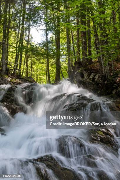 waterfall in the dr. vogelgesang gorge at the trattenbach, spital am pyhrn, traunviertel, upper austria, austria - spital am pyhrn stock pictures, royalty-free photos & images