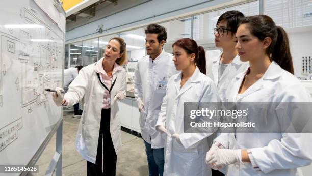 female teacher explaining a process on white board and students paying attention at the college lab - pharmaceutical industry stock pictures, royalty-free photos & images