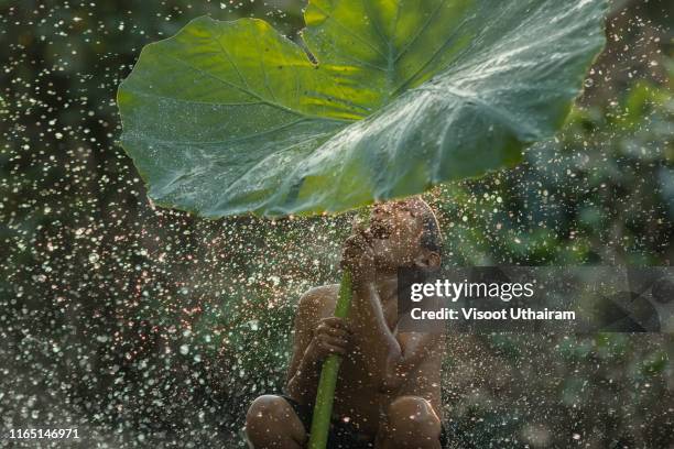 children playing water splash in natural. - asian water splash stock pictures, royalty-free photos & images