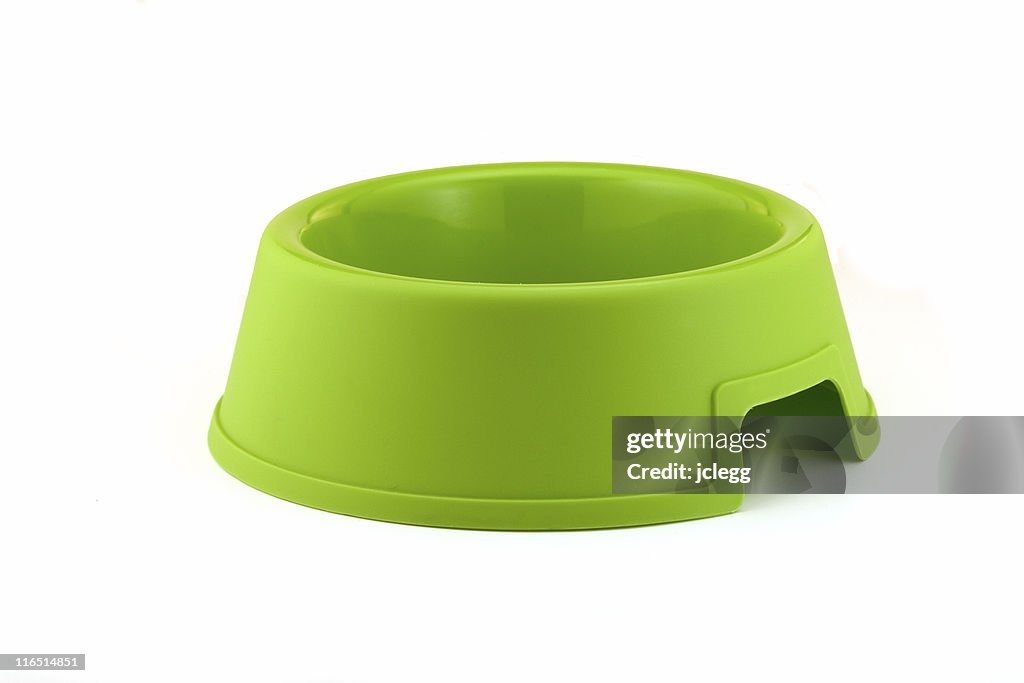 Bright Green Dog Bowl...