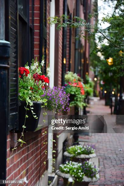 flowers on a window sill and a brick sidewalk in beacon hill - acorn street boston stock-fotos und bilder