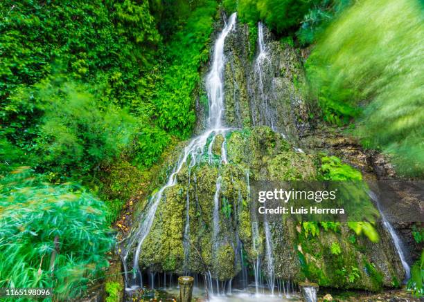 waterfall in deep forest - falls texas stock pictures, royalty-free photos & images