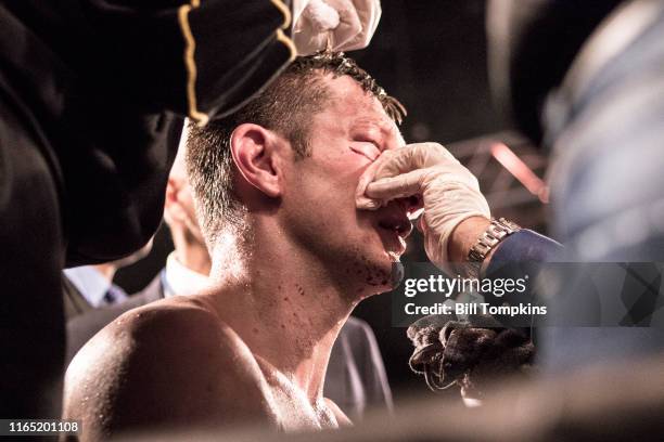 Bill Tompkins/Getty Images Sergey Kovalev defeats Igor Mikhalkin by TKO in the 7th round during their Light Heavyweight fight at Madison Square...