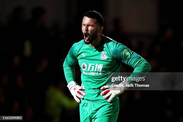 Stephen Henderson of Crystal Palace reacts after conceding a second goal during the Pre-Season Friendly match between AFC Wimbledon and Crystal...