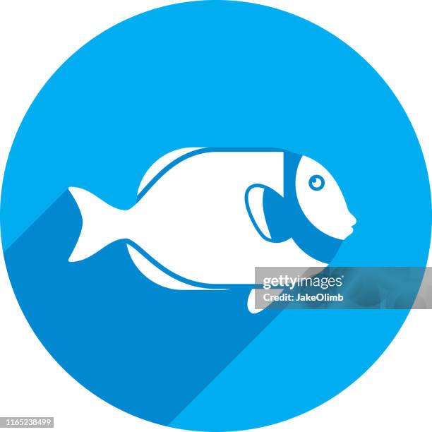 stockillustraties, clipart, cartoons en iconen met poeder blauw tang pictogram silhouet - powder blue tang