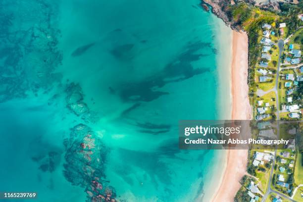 lifestyle houses on beach. - whangarei heads stockfoto's en -beelden