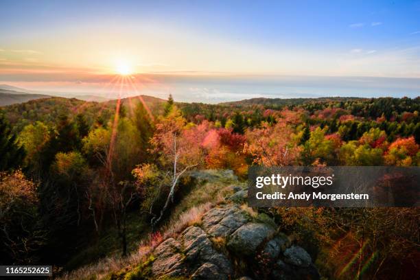 sunset and rocks in autumnal forest - erzgebirge stock pictures, royalty-free photos & images