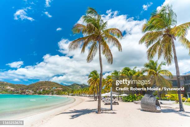 tropical resort, caribbean, antilles, central america - baai stockfoto's en -beelden