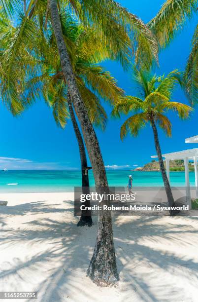 woman on a palm-fringed beach, antilles - cuba beach stock pictures, royalty-free photos & images