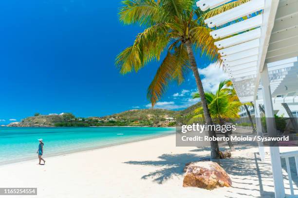 woman on tropical beach, caribbean, antilles - barbados stock-fotos und bilder