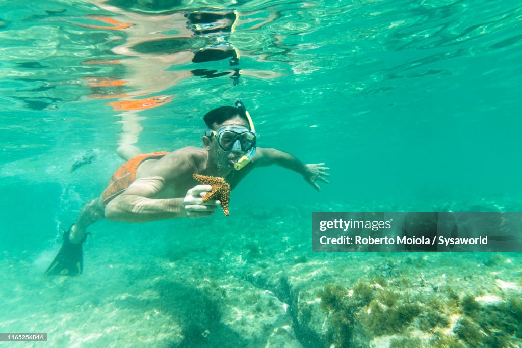 Man snorkelling holding a starfish, Caribbean