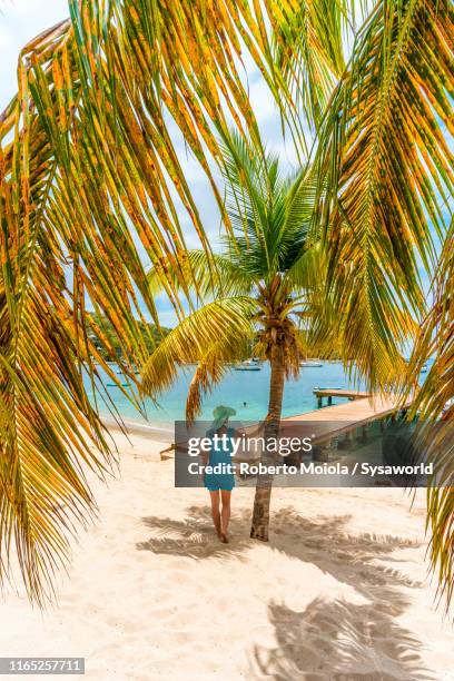 woman leaning on a palm looks at caribbean sea - isla martinica fotografías e imágenes de stock