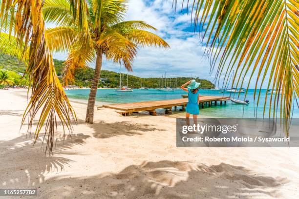 woman on palm-fringed beach, caribbean - mauritius beach stock-fotos und bilder