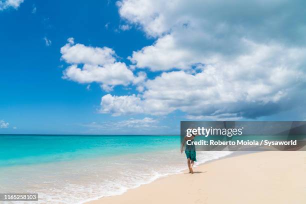 woman walking on white sand beach, caribbean - mauritius beach stock-fotos und bilder