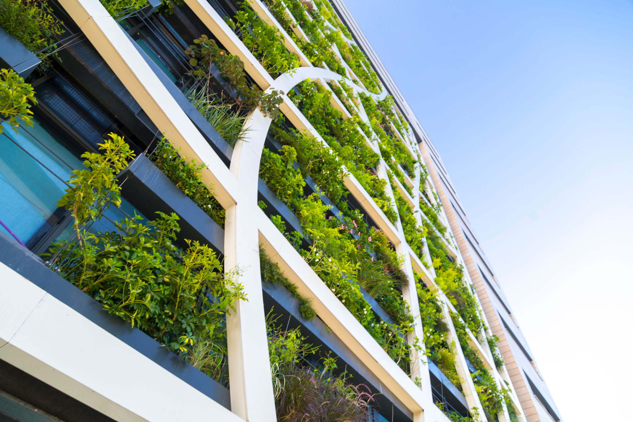sustainable flowers