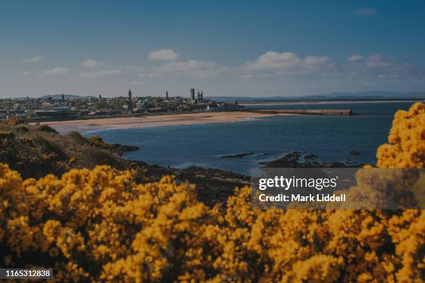 view toward the town of st andrews seen from the cliffs over the east sands - scotland beach stock pictures, royalty-free photos & images